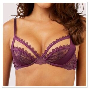 Felicity Hayward Playful Promises Astrid Merlot Lace And Trim Bra Size 44J